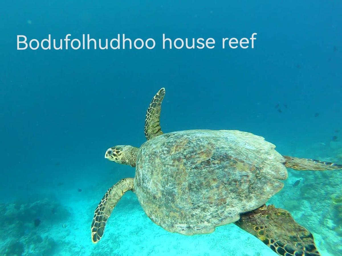 Отель Surfretreat Бодуфолуду Экстерьер фото